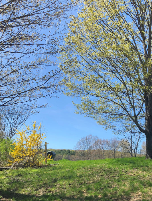 For the love of nature
