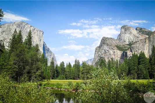 🌲 Parks in Crisis: What’s Happening and Why We Should Care