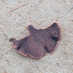 Handcrafted copper ginkgo leaf brooch with textured detail and organic fan shape, featuring nature-inspired botanical design and warm earthy patina
