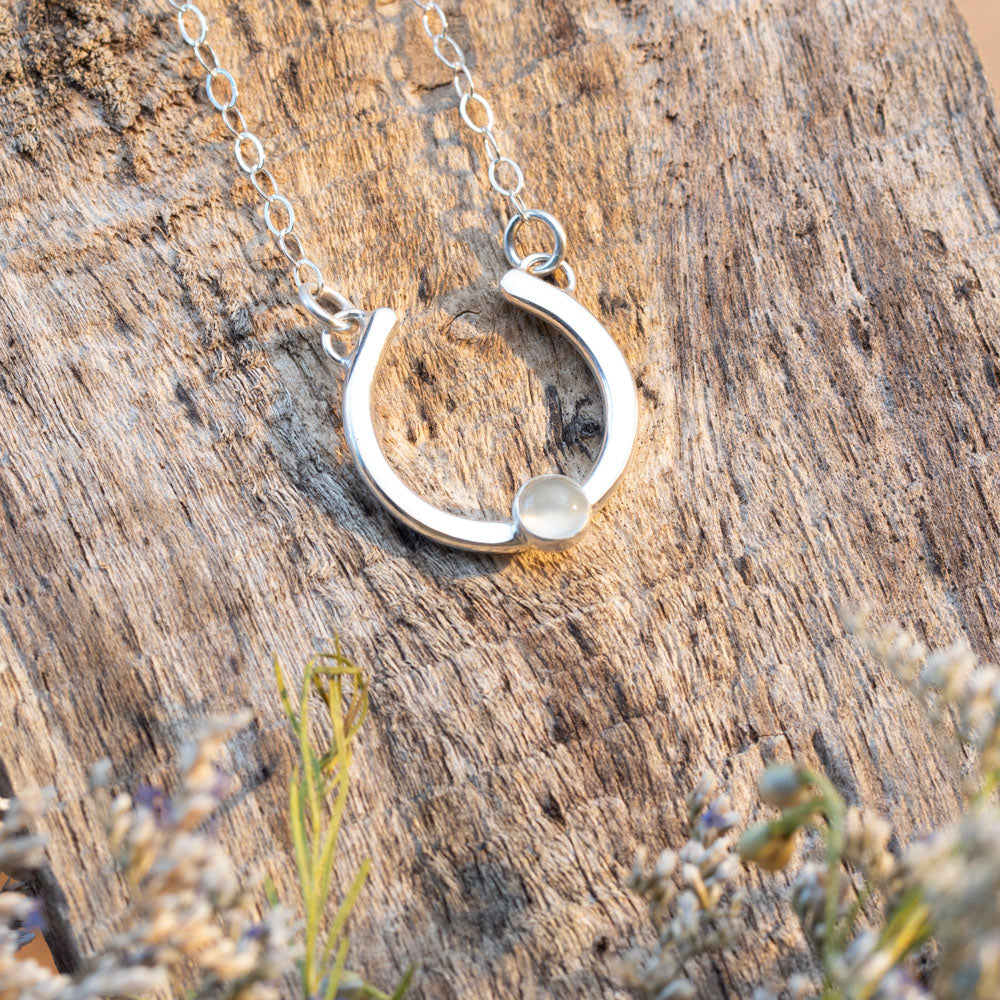 Silver and moonstone necklace with a small round pendant on a wooden surface with plants.
