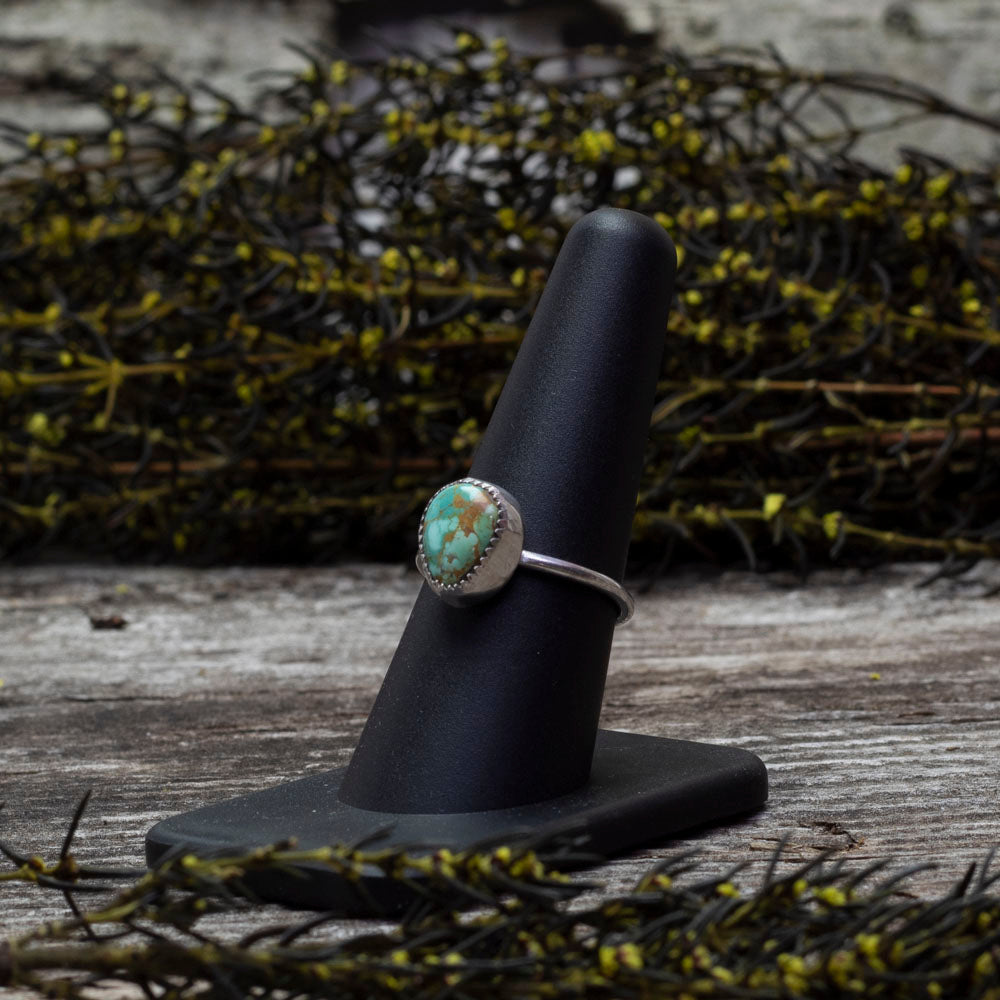 Size 8 King's Manassa turquoise ring on a dark gray surface with wildflowers in the background