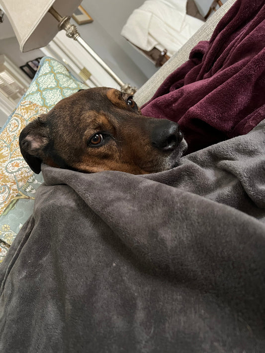 Bailey Says It’s Time
