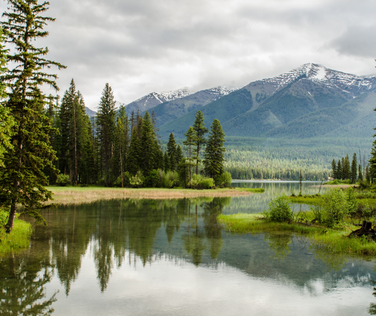 Nature Really Does Boost Our Mood