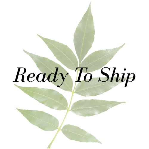 Ready To Ship