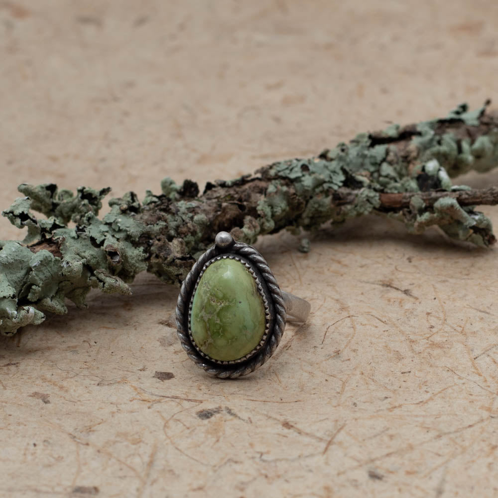 Turquoise ring on bark with a lichen covered branch in the background.