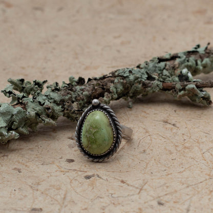 Turquoise ring on bark with a lichen covered branch in the background.
