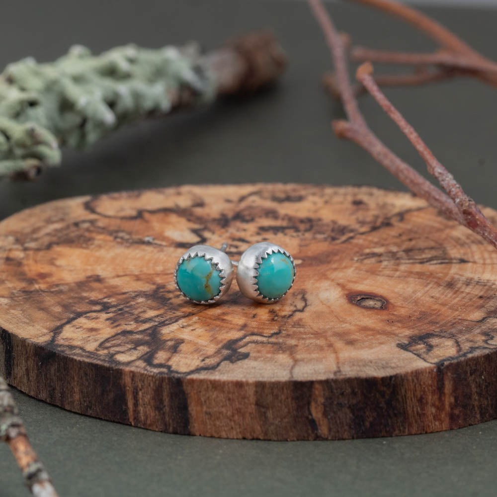 Turquoise stud earrings on a wooden surface with natural elements.