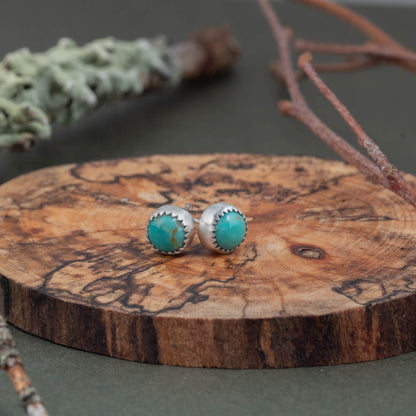 Turquoise stud earrings on a wooden surface with natural elements.