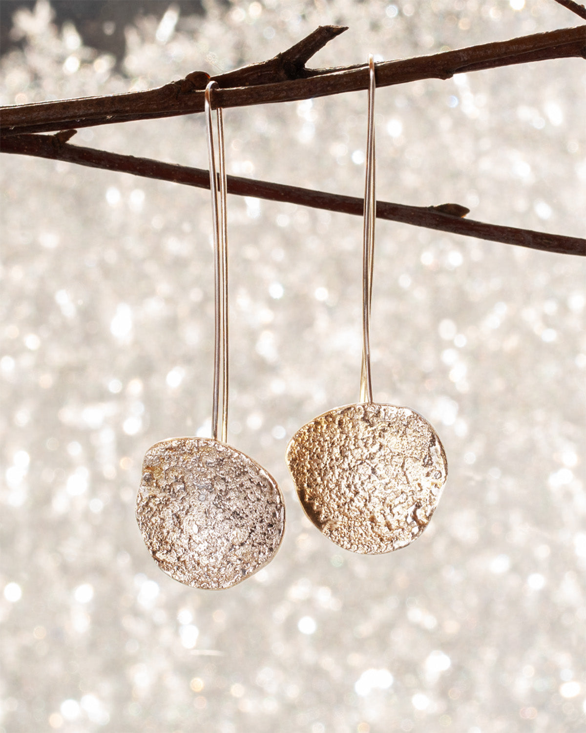 Silver earrings hanging from a branch with a sparkling background