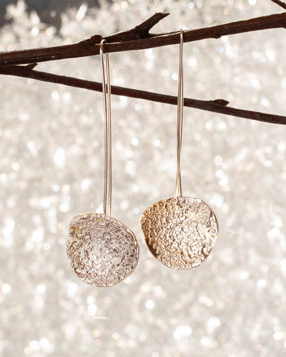 Silver earrings hanging from a branch with a sparkling background