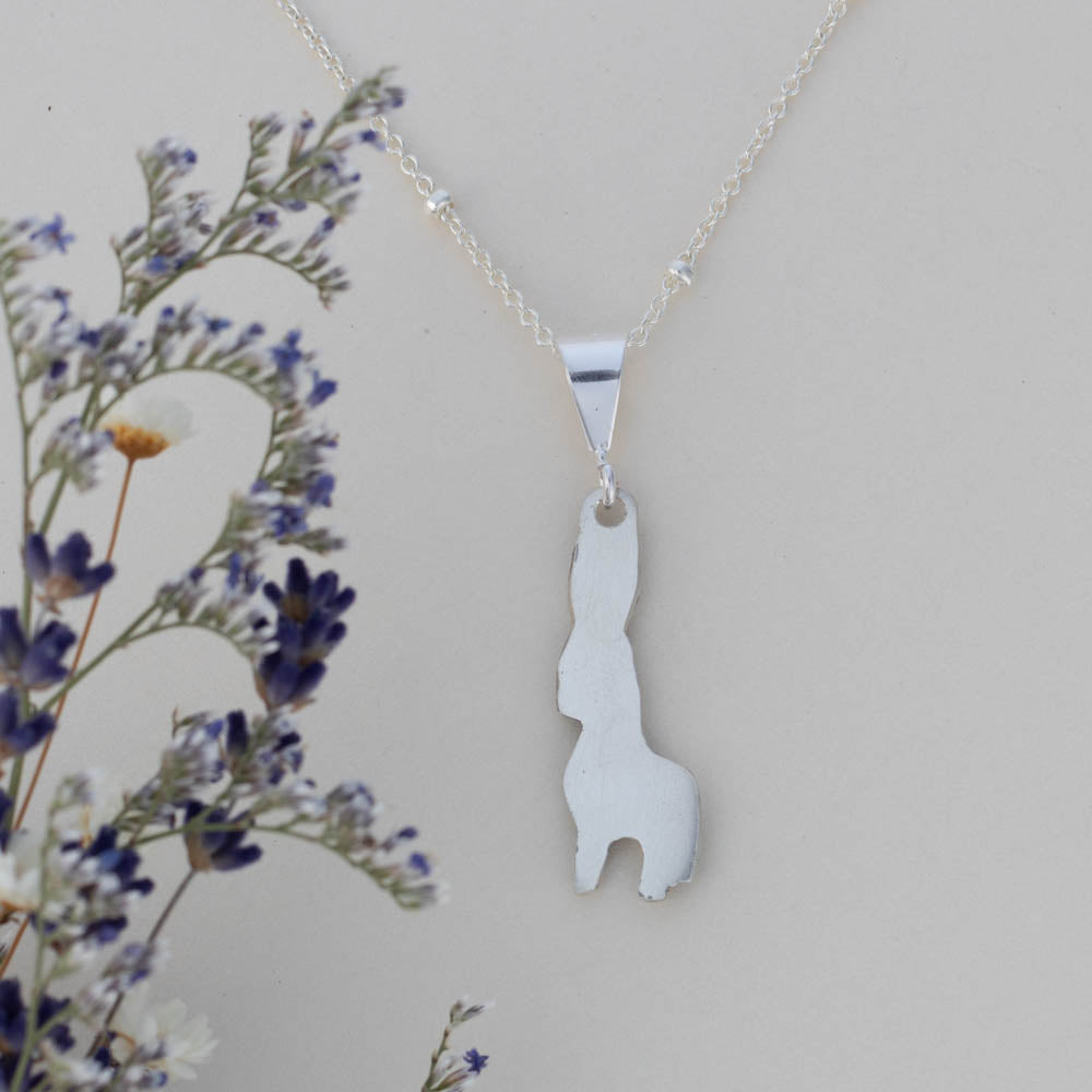 back of donkey necklace