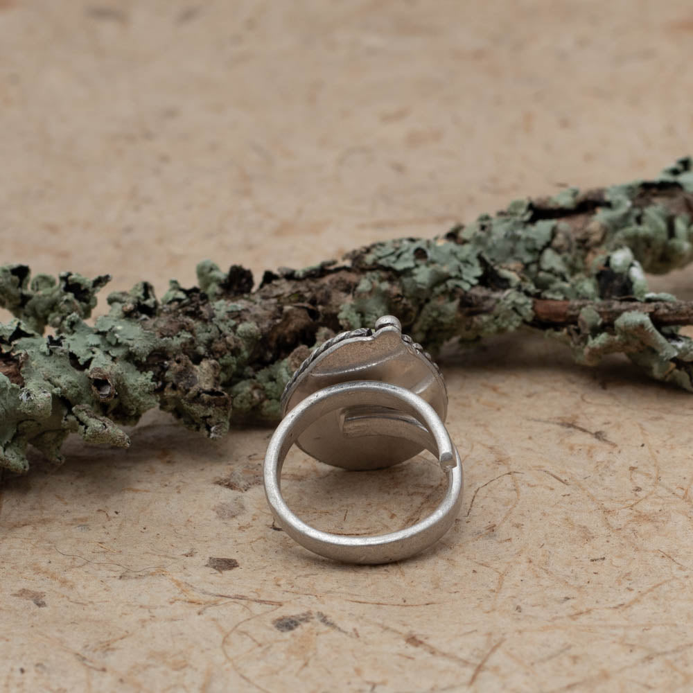 Turquoise ring on bark with a lichen covered branch in the background.