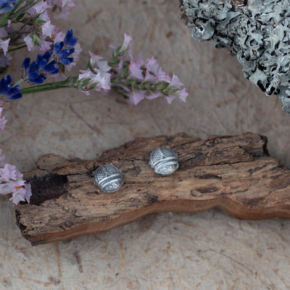 Tiny sterling silver beetle stud earrings by Divella Designs, 8mm size with patinated satin finish, handmade in Vermont and photographed on bark with lichen and dried flowers