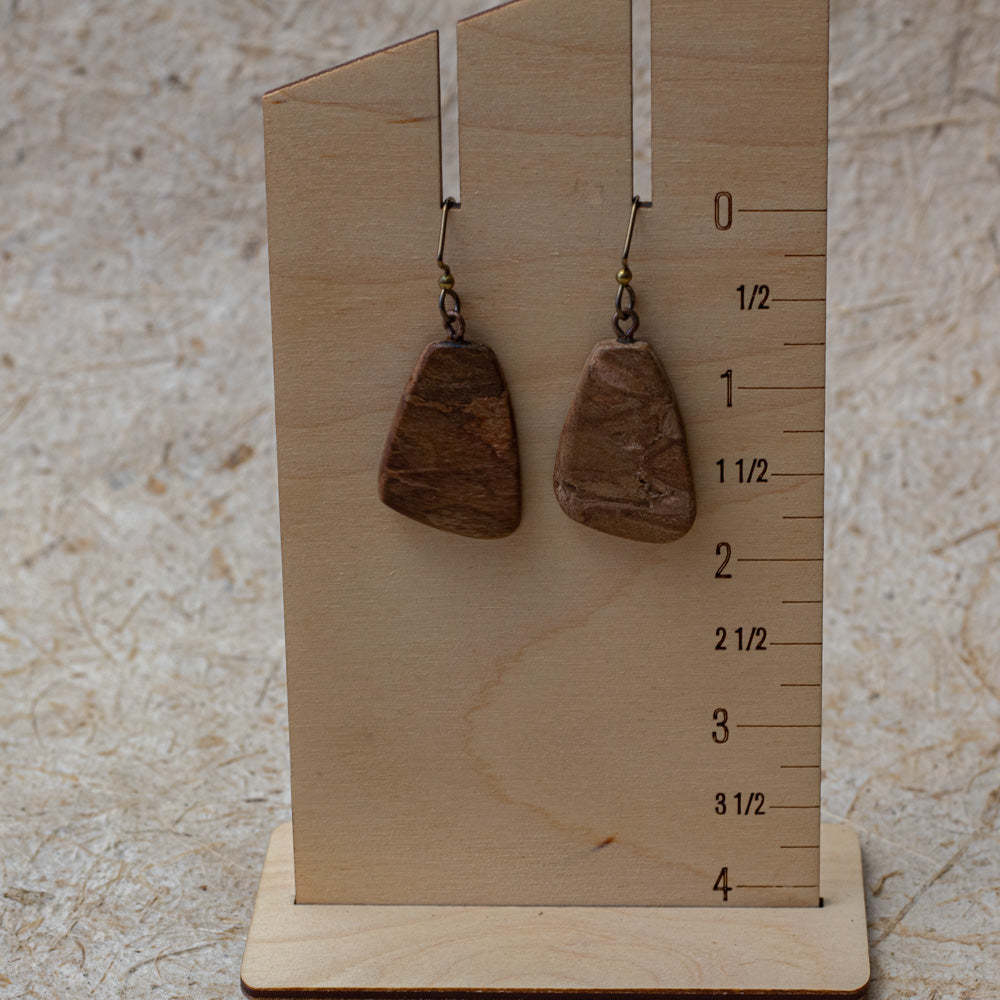 Lightweight natural wood drop earrings with warm brown grain and niobium ear wires.