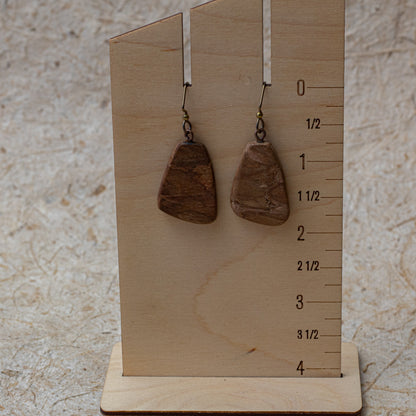Lightweight natural wood drop earrings with warm brown grain and niobium ear wires.